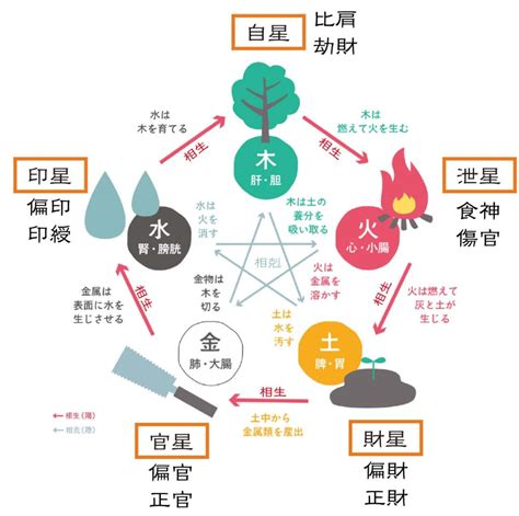 正財 偏財|四柱推命ー財星（偏財・正財）とは 